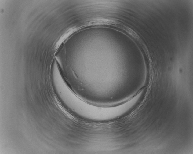 X0000051860842200507081820