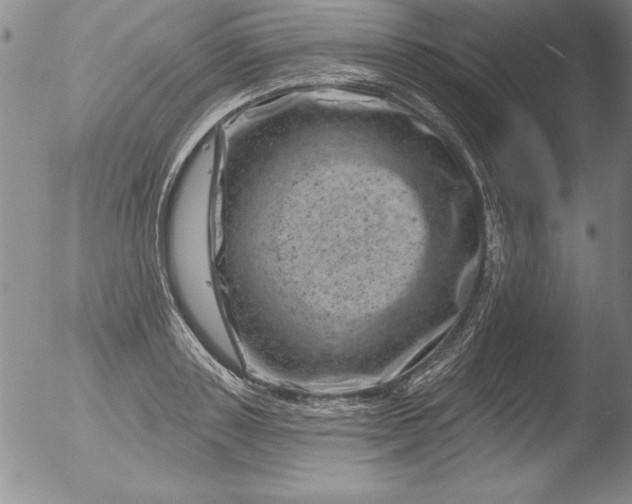 X0000051860843200507081820