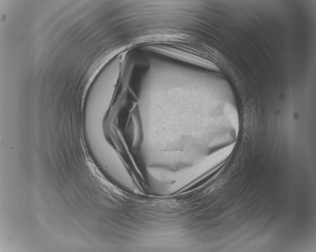 X0000051860844200507081820