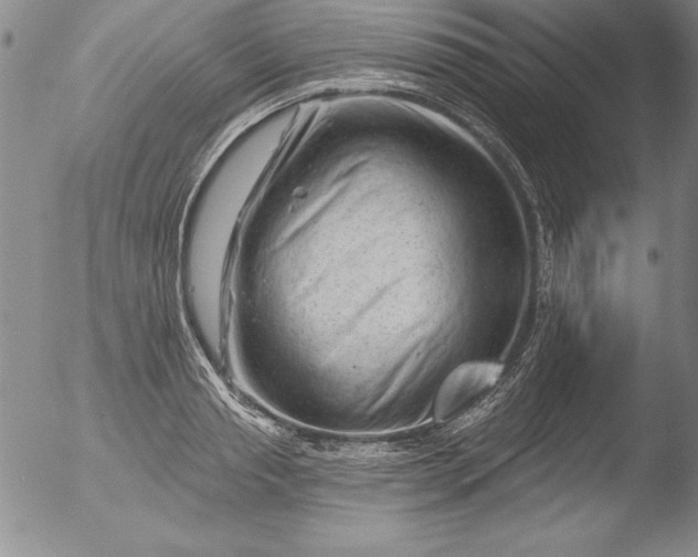 X0000051860845200507081820