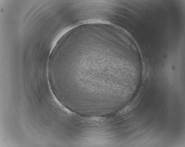 X0000051860847200507081821