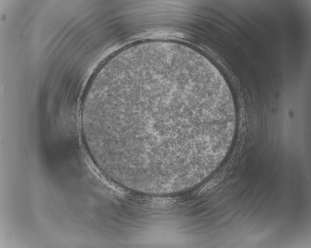 X0000051860848200507081821