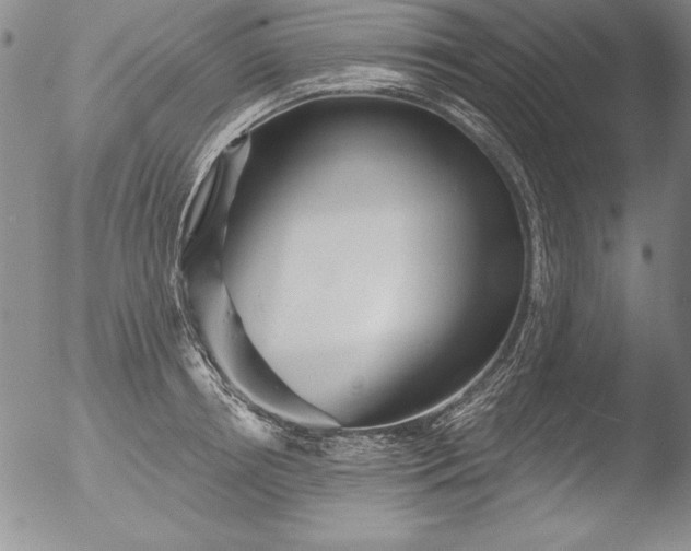 X0000051860850200507081821