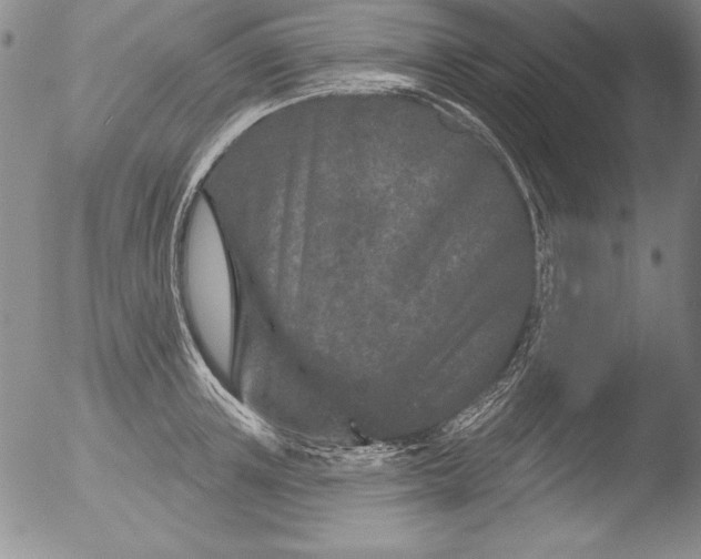 X0000051860851200507081821