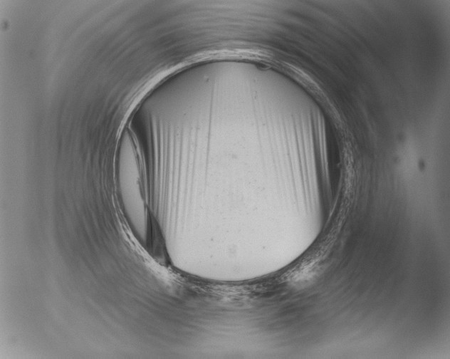 X0000051860852200507081821