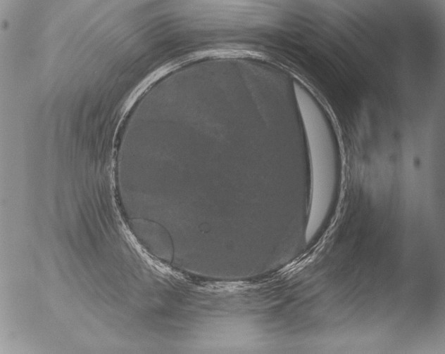 X0000051860853200507081821