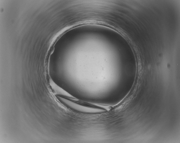 X0000051860854200507081821