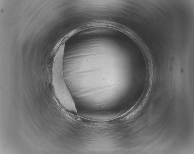 X0000051860857200507081821