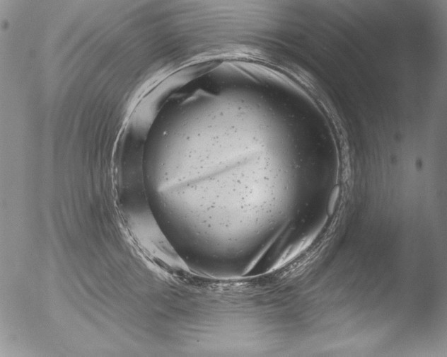 X0000051860858200507081821