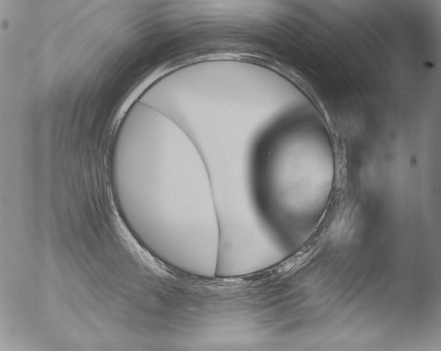 X0000051860859200507081821