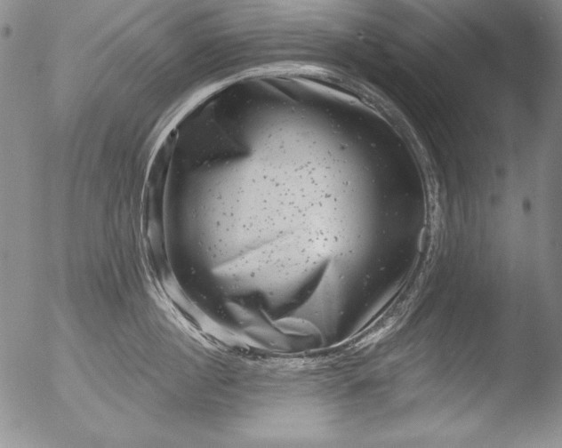 X0000051860860200507081821