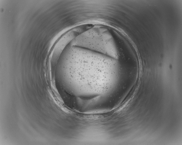 X0000051860862200507081821