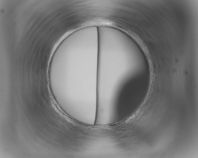 X0000051860864200507081821