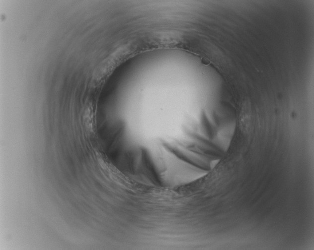 X0000051860866200507081820