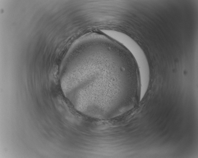 X0000051860867200507081820