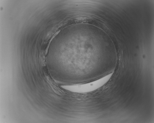 X0000051860868200507081820