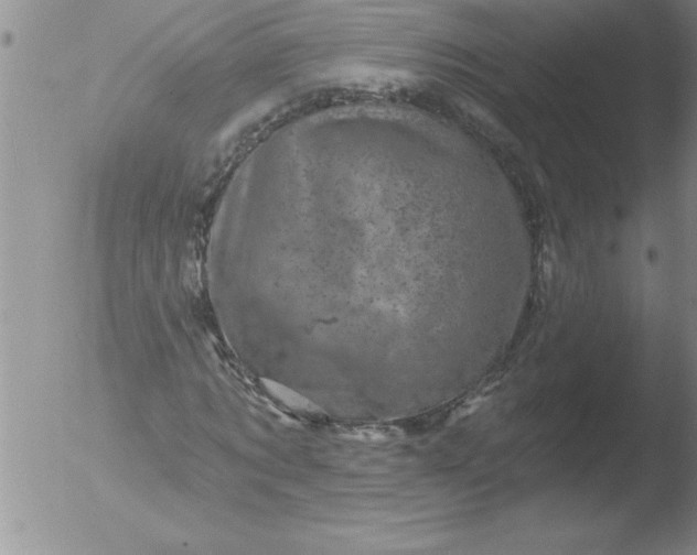 X0000051860869200507081820