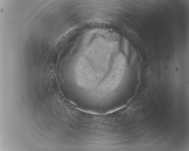 X0000051860870200507081820