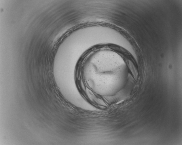 X0000051860871200507081820