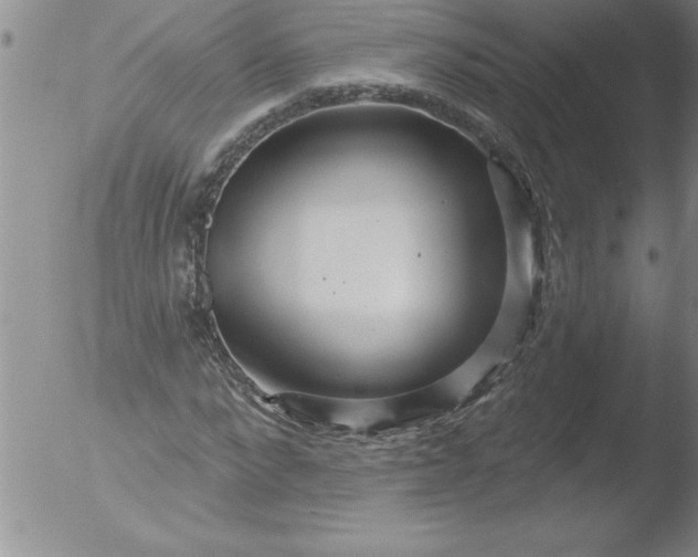 X0000051860872200507081820