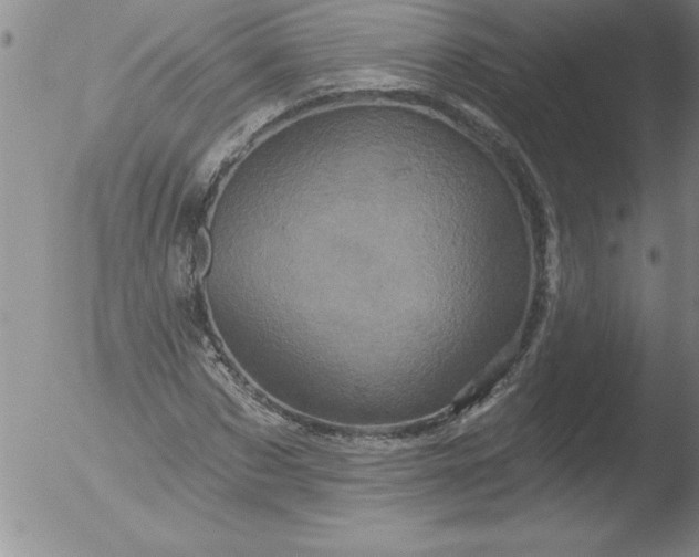 X0000051860873200507081820