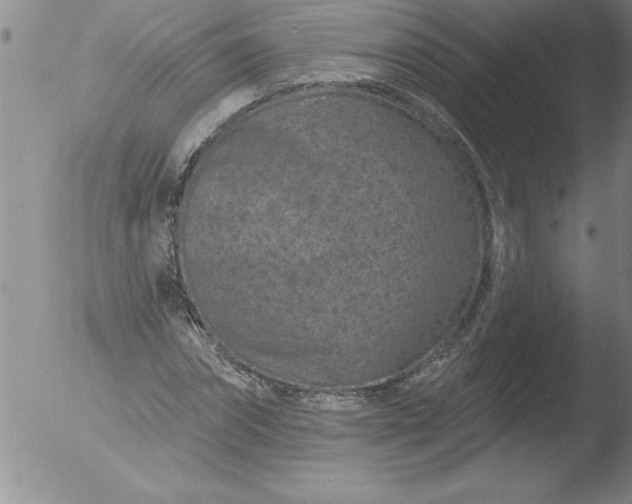 X0000051860874200507081820