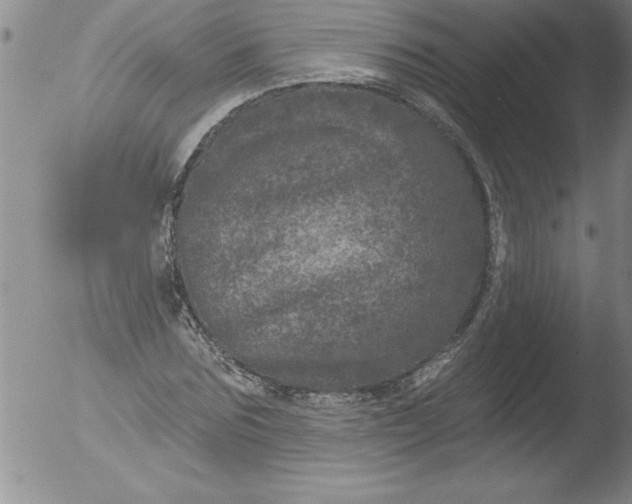 X0000051860875200507081820