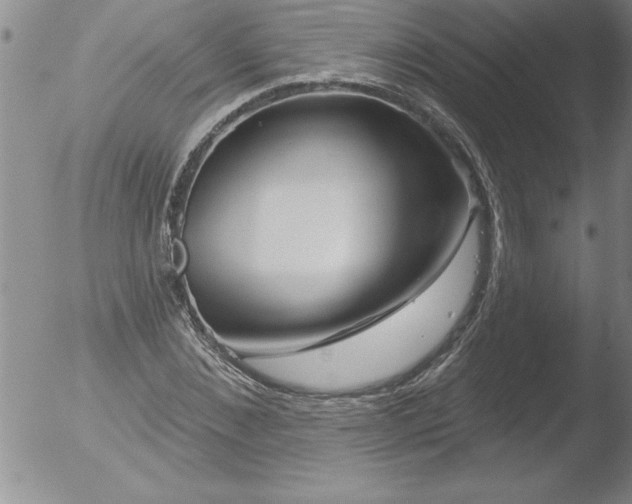 X0000051860876200507081820