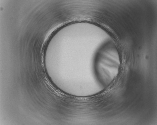 X0000051860878200507081820