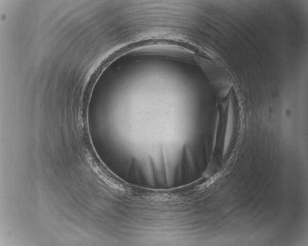 X0000051860880200507081820