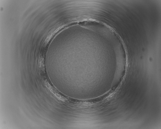 X0000051860881200507081820