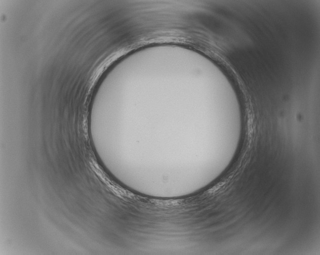 X0000051860882200507081820