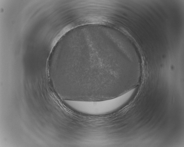 X0000051860883200507081820