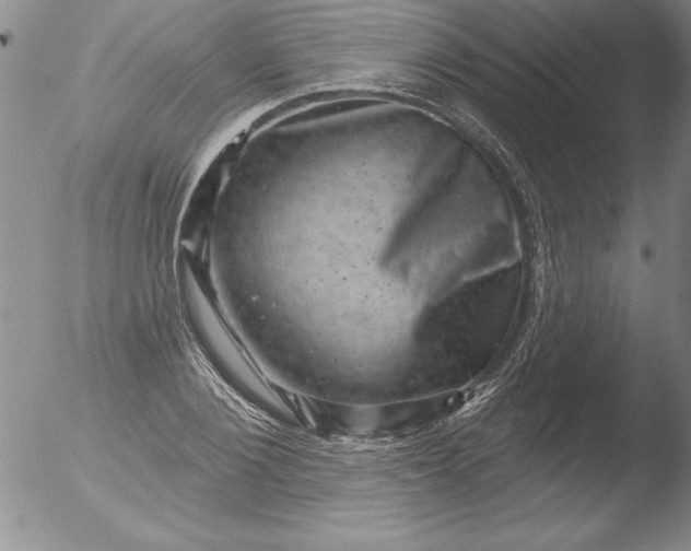 X0000051860884200507081820