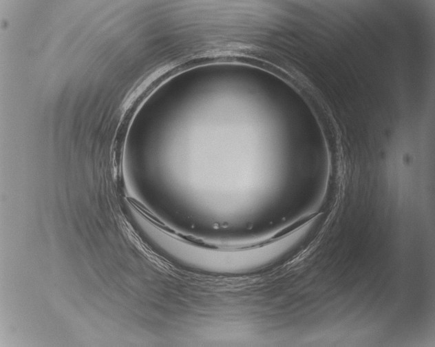 X0000051860885200507081820