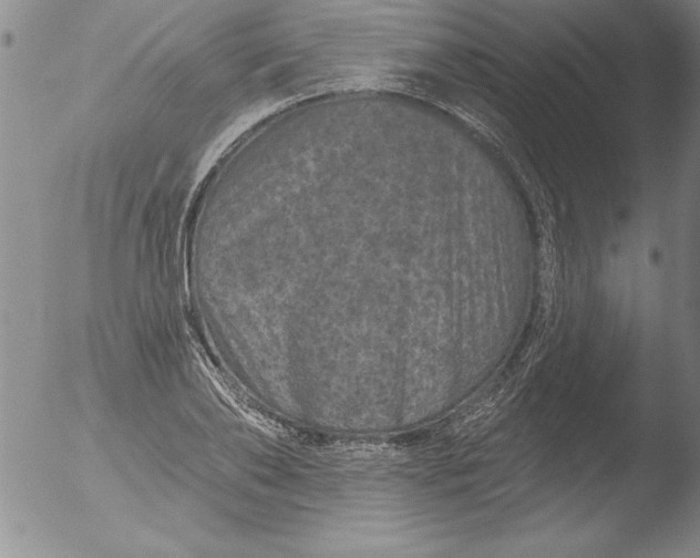 X0000051860886200507081820