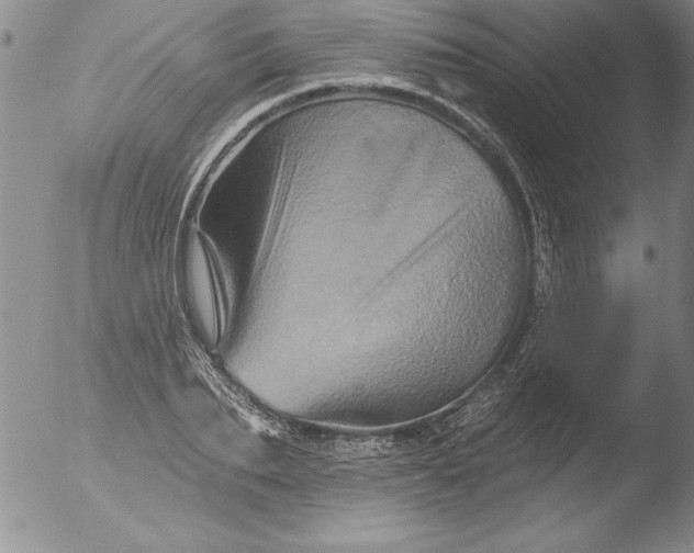 X0000051860887200507081820