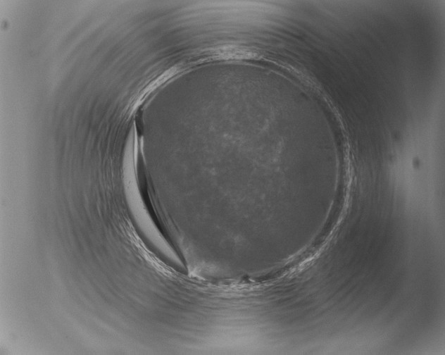 X0000051860889200507081820