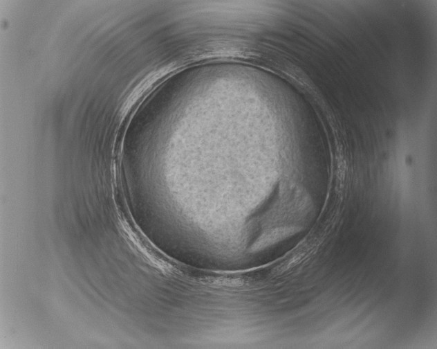 X0000051860890200507081820