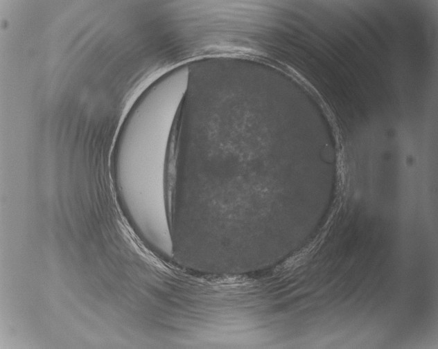 X0000051860891200507081820