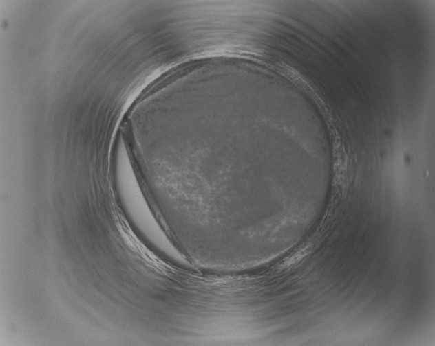 X0000051860892200507081820