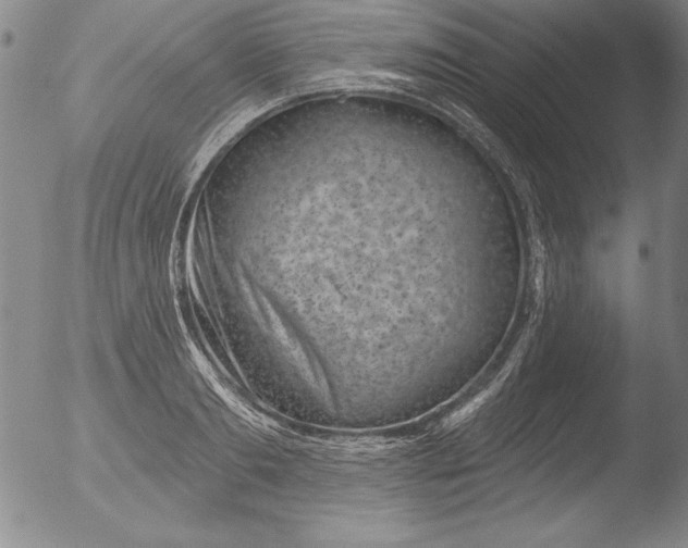 X0000051860893200507081820