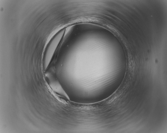 X0000051860894200507081820