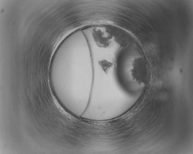 X0000051860895200507081820