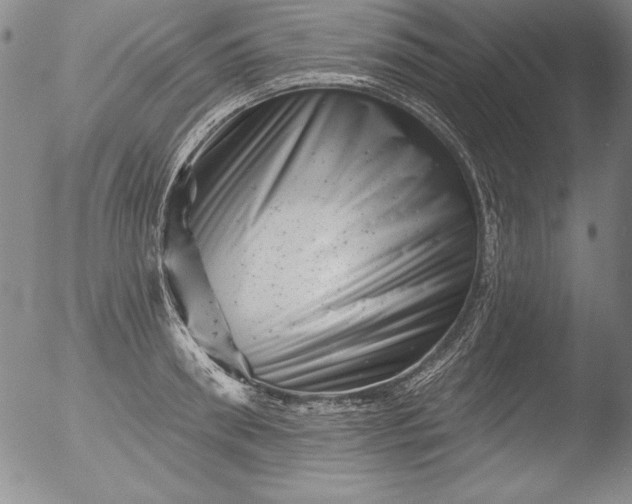 X0000051860898200507081819