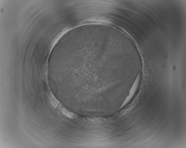 X0000051860899200507081819