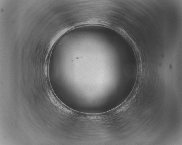 X0000051860900200507081819