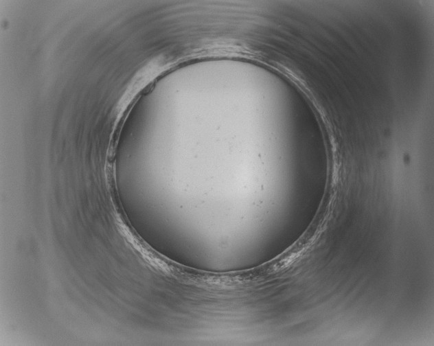 X0000051860901200507081819