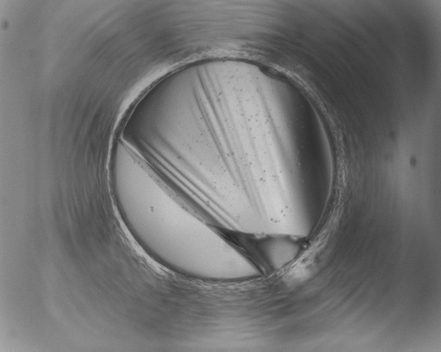 X0000051860902200507081819