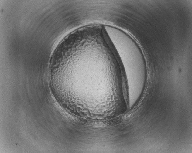 X0000051860903200507081819